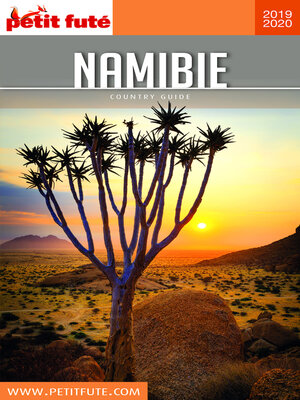 cover image of NAMIBIE 2019/2020 Petit Futé